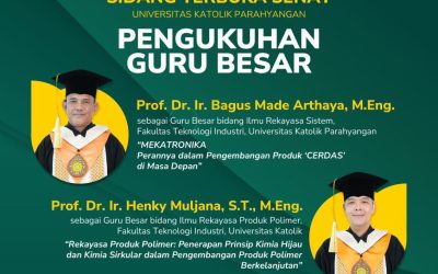 Rekayasa Produk Polimer: Penerapan Prinsip Kimia Hijau dan Kimia Sirkular dalam Pengembangan Produk Polimer Berkelanjutan